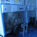 lab-Cell Culture Facilities (ID 2.7)