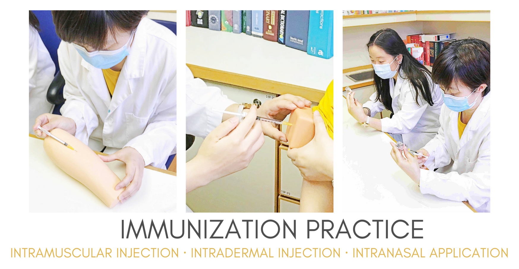 immunization practice-web